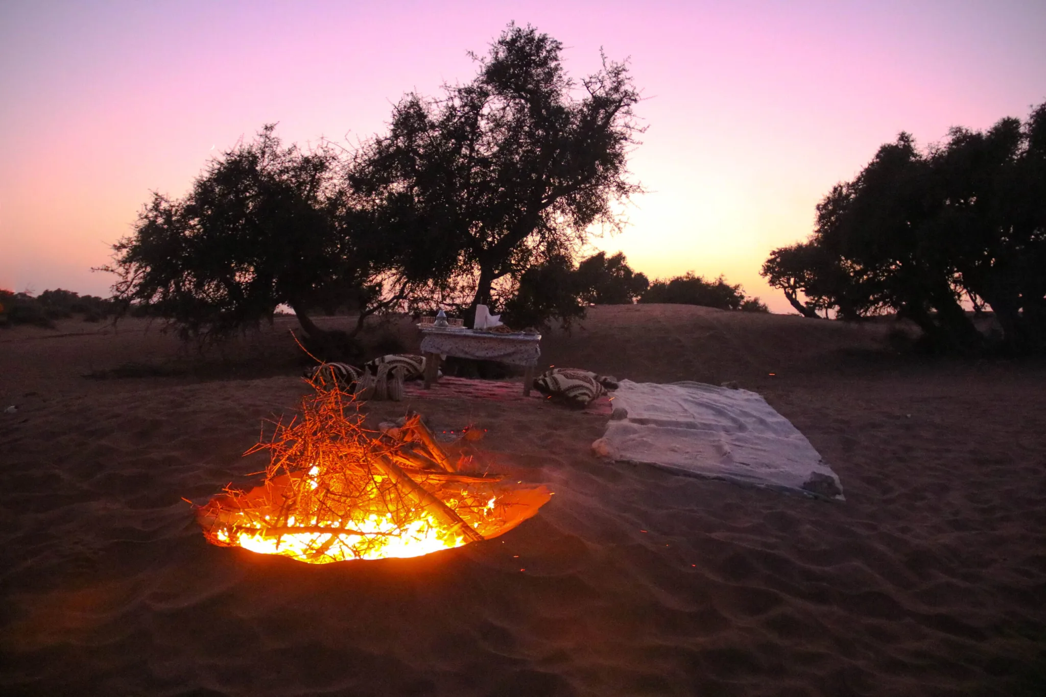 Sunset Quad & Dinner