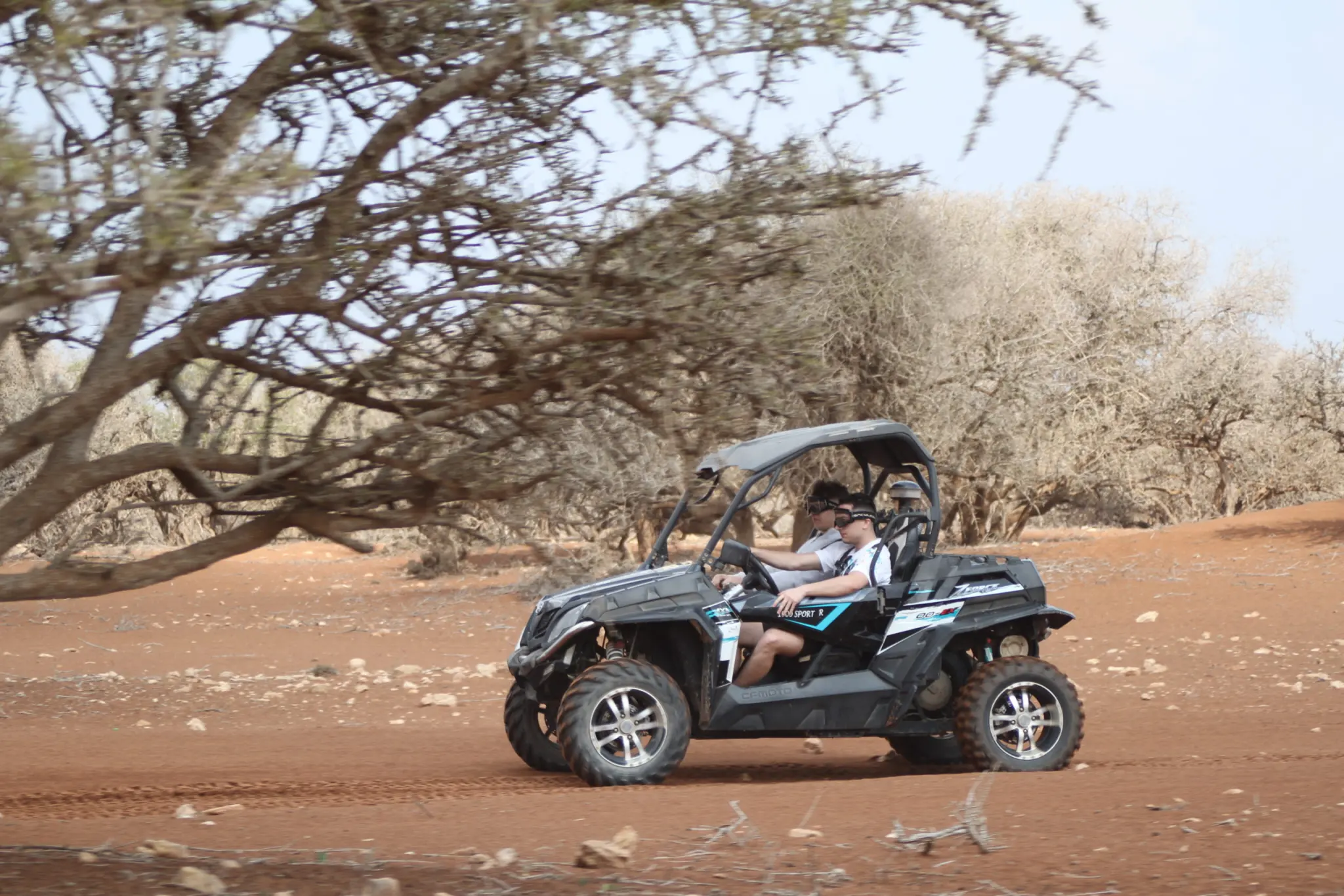 Buggy Full Day + Lunch